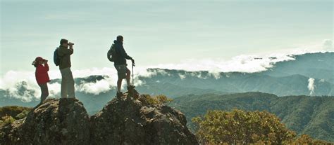 Caminata Al Cerro De La Muerte Travel Excellence