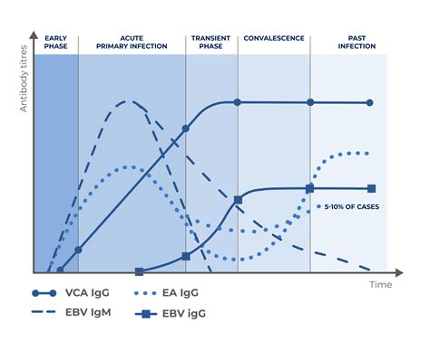 Epstein Barr Virus Test Immunodiagnostics Diasorin