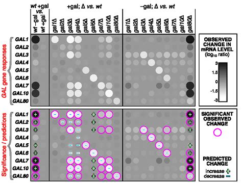 Whole Genome Integrated Circuitry