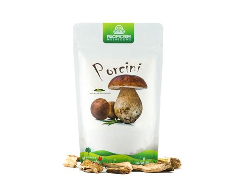 Amazing Dried Porcini Mushrooms to boost any recipe!