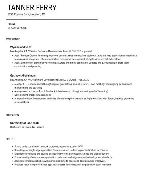 Software Development Lead Resume Samples Velvet Jobs