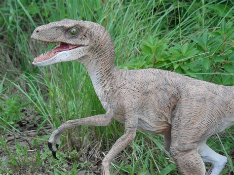 Jurassic Park Velociraptor by yankeetrex on DeviantArt