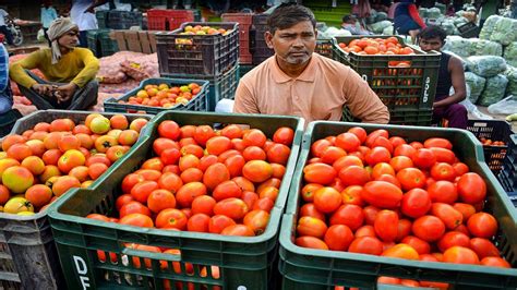 Nccf To Sell Tomatoes In Delhi Ncr At Rs 90 Per Kg From Friday Via