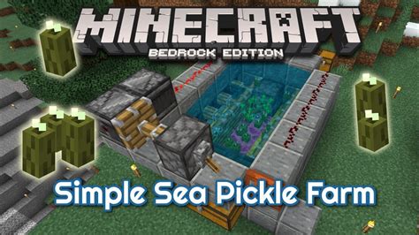 How To Grow Sea Pickles Minecraft Bedrock | Webphotos.org