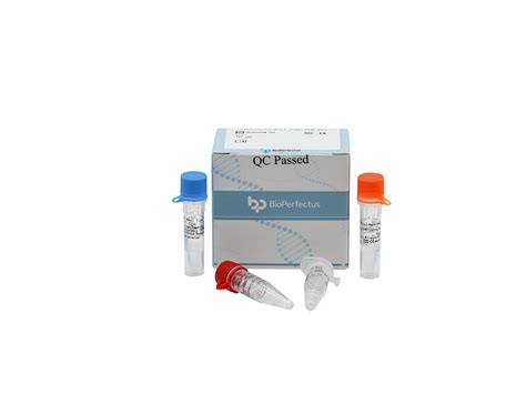 Leptospira Real Time Pcr Kit Bioservices