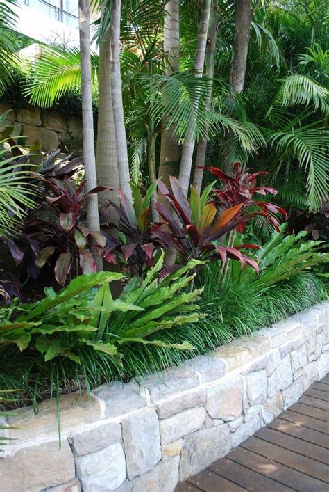 Tropical Garden Ideas