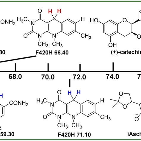 Comparison Of Homolytic Bond Dissociation Free Energies Of Xh And Download Scientific Diagram