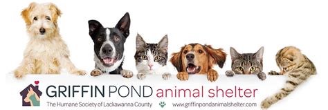 Griffin Pond Animal Shelter | Clarks Summit, PA