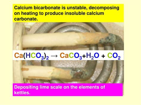 PPT - Reactions of calcium oxide, hydroxide, carbonate and bicarbonate ...