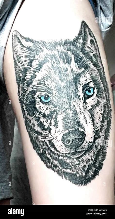 Grey Wolf Paw Print Tattoo