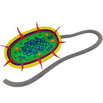 Célula Bactéria Procarionte 27 cm Impressão 3d Maquete Biologia