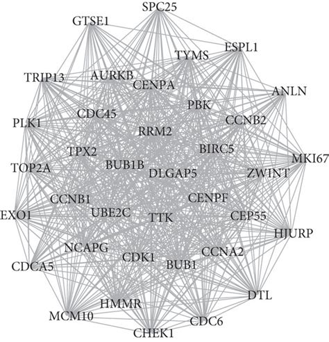 Protein Protein Interaction Ppi Network For The Degs A Cluster 1