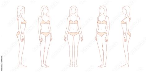 Woman body. Full-length standing portrait. Set of body-positive female ...