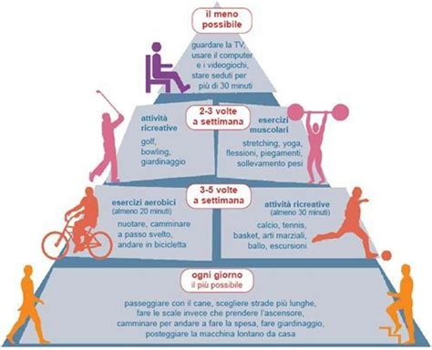 Piramide Dell Attivit Fisica Prodotti Per La Salute Attivit