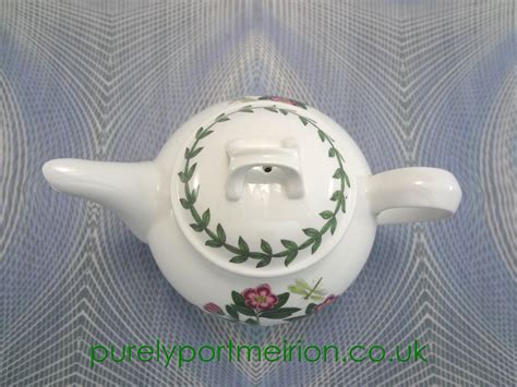 Portmeirion Botanic Garden One Cup Teapot Bg