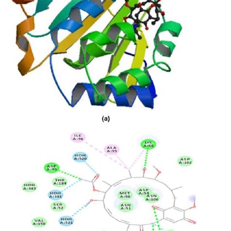 Hsp Complex With Co Crystallized Inhibitor Gmd A Complex Derived