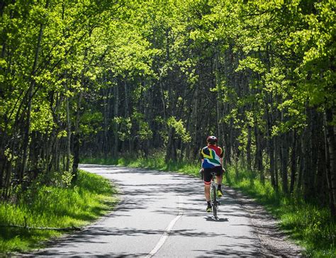 Of The Best Bike Rides Around Calgary Fish Creek Park Pretty Bike