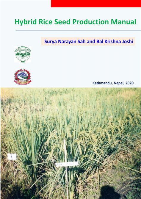 Pdf Hybrid Rice Seed Production Manual