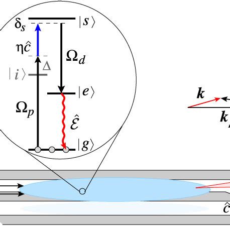 Schematics Of The System An Ensemble Of Atoms Trapped On A