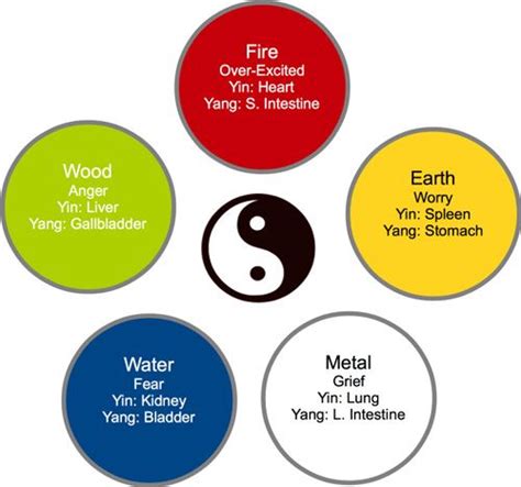 5 Elements Yin And Yang Organs Emotions Big Tree School Of Natural