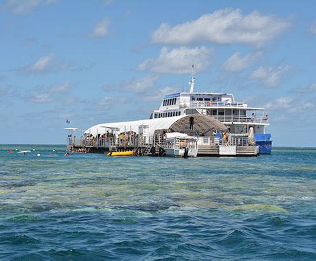 Cairns Snorkeling - Reefs & Islands, The Ultimate Guide.