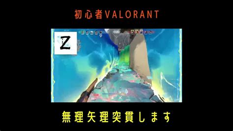 1【初心者valorant】ヴァロラントあるある・・・？ Valorant動画まとめ