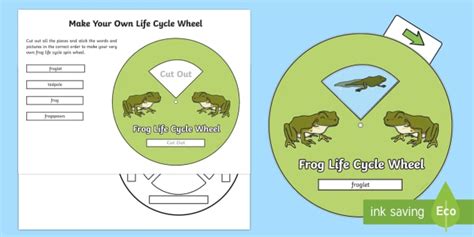 Make Your Own Life Cycle Of A Frog Spin Wheel Teacher Made