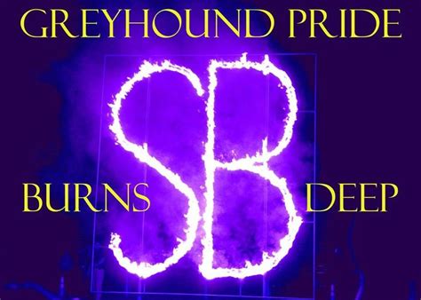 San Benito Greyhounds | Greyhound, Neon signs, Football team