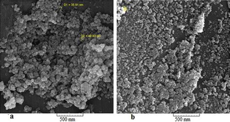 Sem Micrographs Of A Co Al O And B Co Ni Al O Catalysts