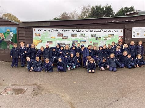 Year 1 adventure to the British Wildlife Centre - Claremont Fan Court