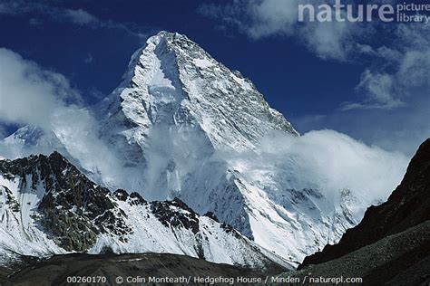 Stock photo of The north face of K2 as seen from K2 glacier, second ...