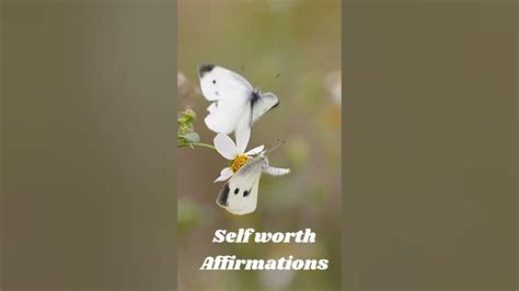 Embrace Your Worth 12 Empowering Self Worth Affirmations For