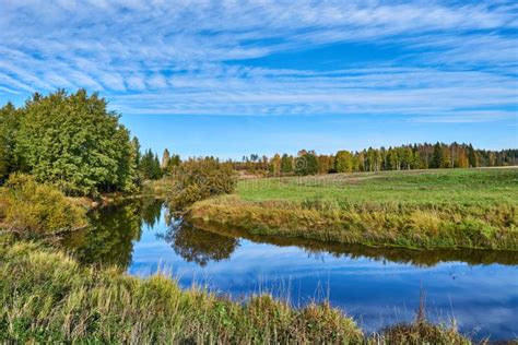 River Flowing Through A Forest Under A Blue Cloudy Sky On A Sunny Day