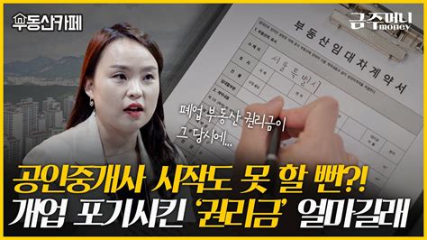 공인중개사 시작도 못 할 뻔 개업 포기시킨 권리금 얼마길래ㅣ부동산카페 금주머니tv Youtube