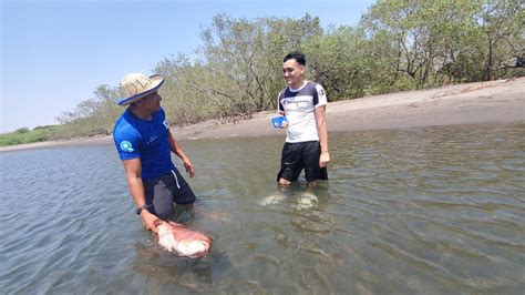 Asi Los Preparamos Para Cocinar El Pescado Con Atilio Larin Youtube