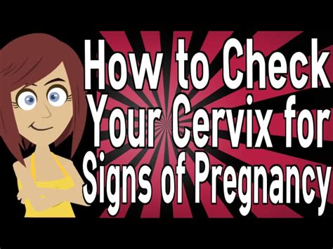 Cervix During Early Pregnancy