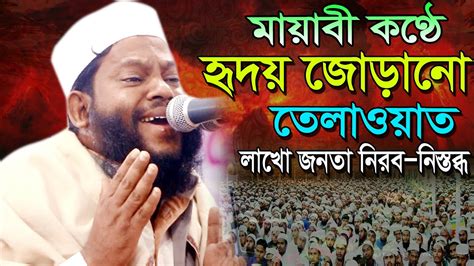 এই তলওযত আপনর হদয নড দব Quran Tilawat Qari Saidul Islam