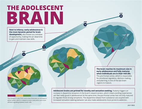 Rti Infographics Graphek