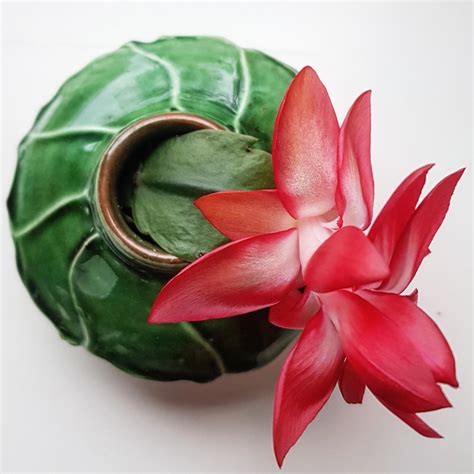 liten vas groen wolter keramik