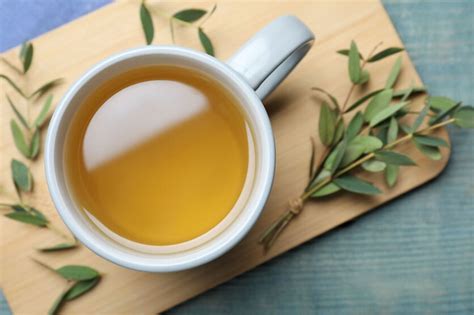 Eucalyptus Tea Know All The Benefits It Has In The Cold And Take Advantage Of It With This