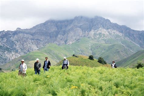 Uzbekistan Mountains