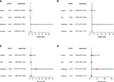 Independent Prognostic Analysis Of The Train And Validation Cohorts