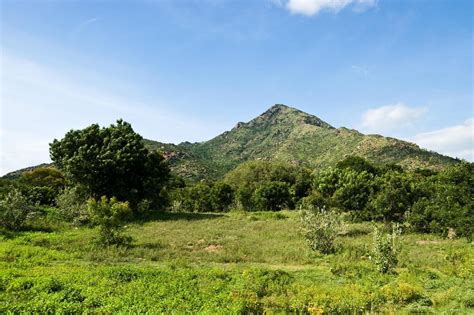 Arunachala Hill Photo Galleries | SRI RAMANASRAMAM