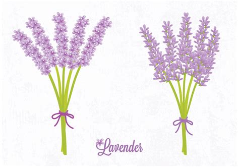 Vector Lavender Flower 85105 Vector Art at Vecteezy