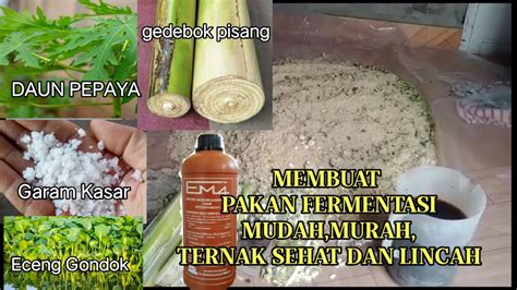 Cara Membuat Pakan Entok Fermentasi Em4 Dengan Bahan Gedebok Pisang