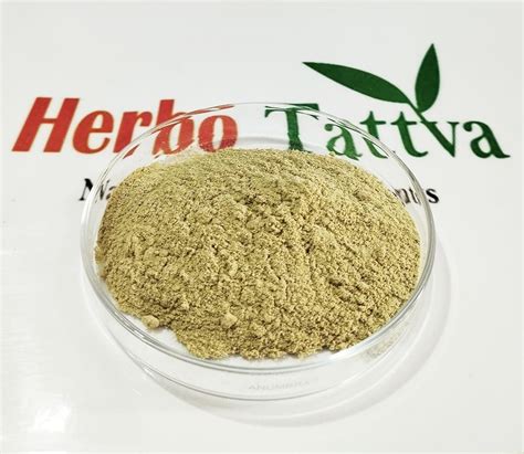 Green Cardamom Powder Elaichi Powder At Rs 700kg Amba Enclave