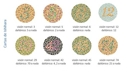 Test Daltonismo Prueba Online Gratuita