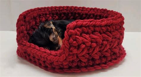 Make An Easy Crochet Pet Bed In 1 Hour Crochet Fashion