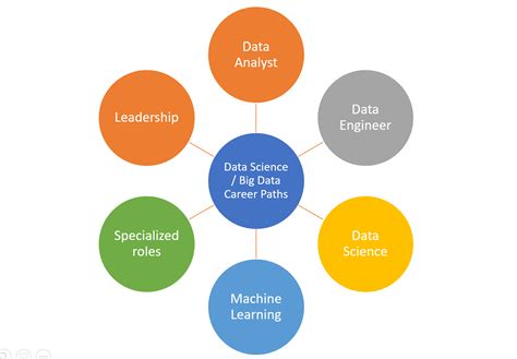 Data Science Big Data Career Paths Analytics Yogi