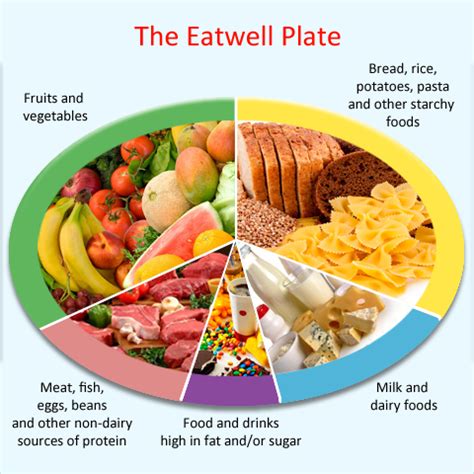 Protein Eatwell Plate Tanya Tanya